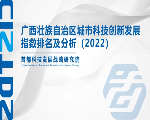 www.操小逼【成果发布】广西壮族自治区城市科技创新发展指数排名及分析（2022）